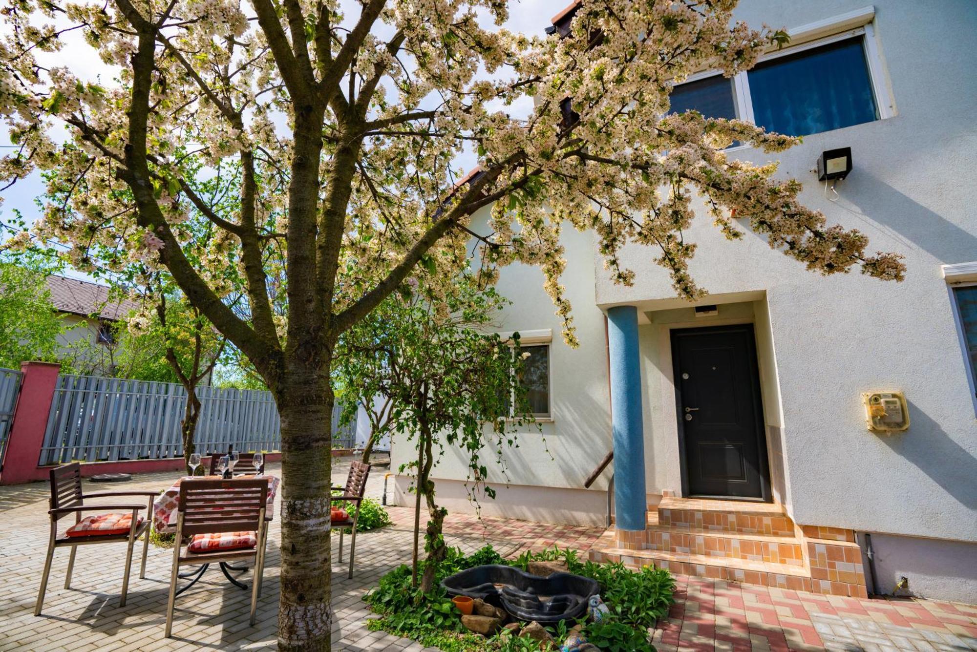 Pitstop Apartments Dumbravita  Zewnętrze zdjęcie